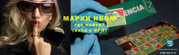 круглые Аркадак