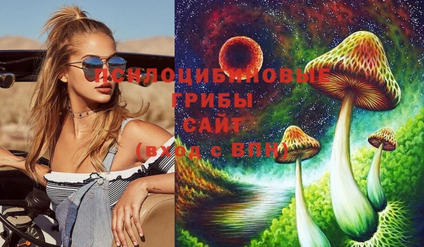 круглые Аркадак