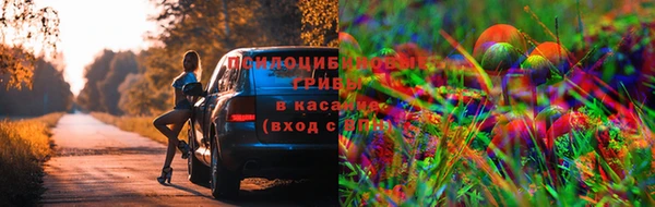 амф Армянск