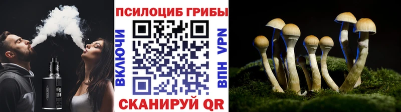 где можно купить наркотик  KRAKEN маркетплейс  Псилоцибиновые грибы GOLDEN TEACHER  Среднеуральск 